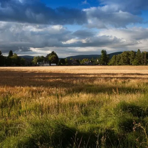 Equity Land Buyers