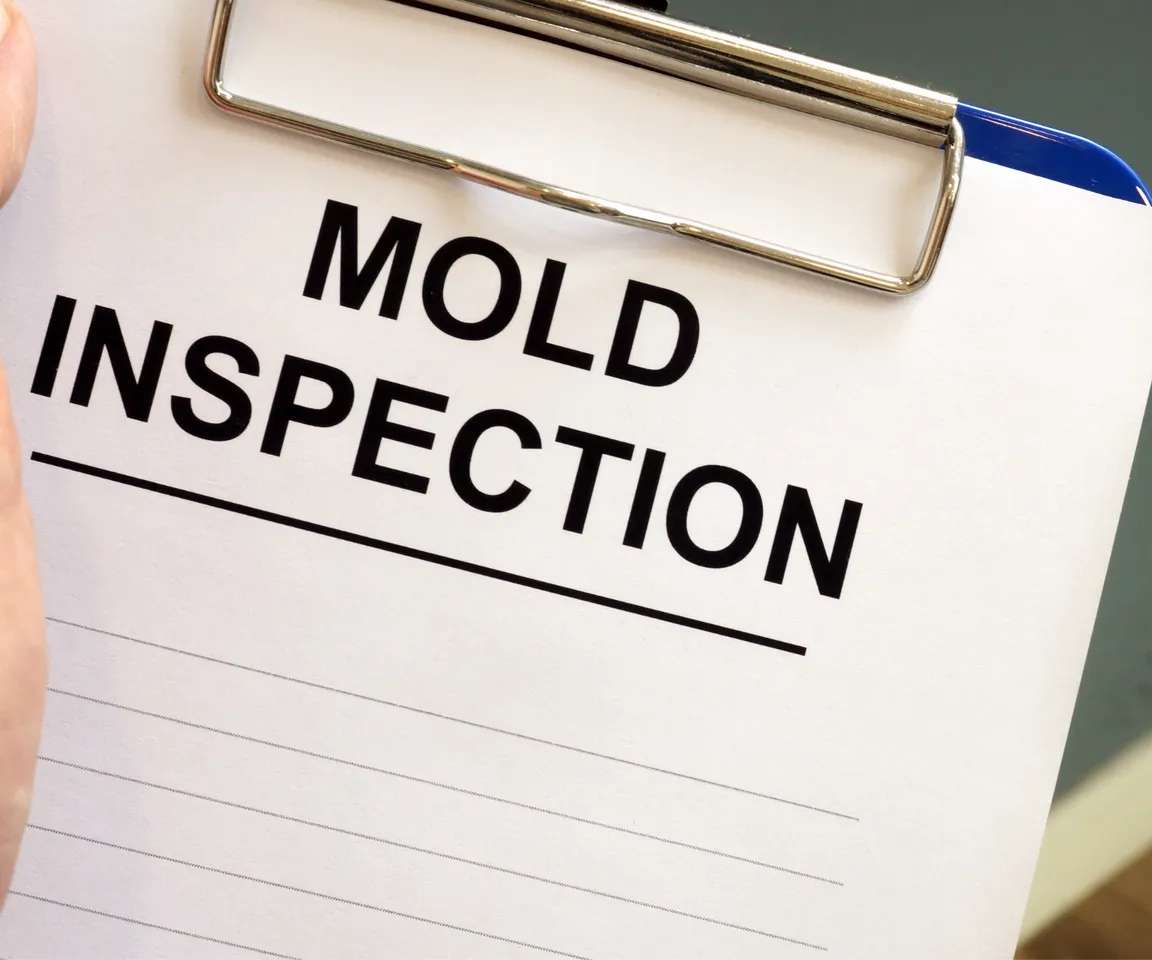 Sell Your House With Mold in Long Island