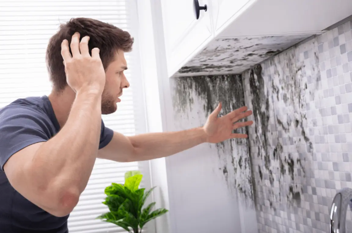 Can You Sell a House With Mold?