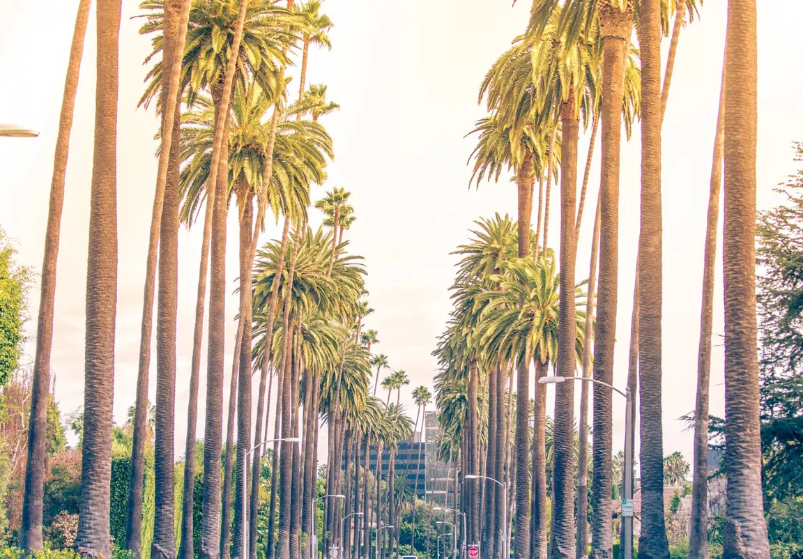 Sell m house fast santa ana