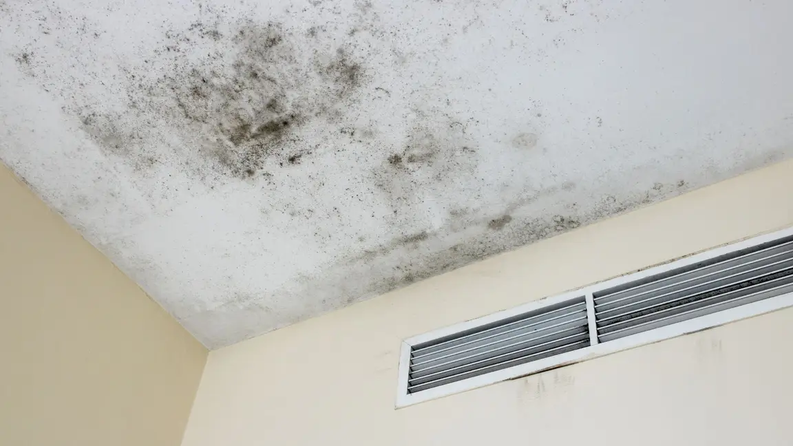 how to sell house with mold