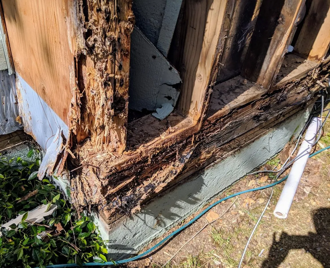 termite damage in houston texas