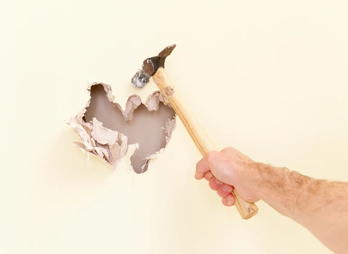 Sell House as is Tenant damage Illinois