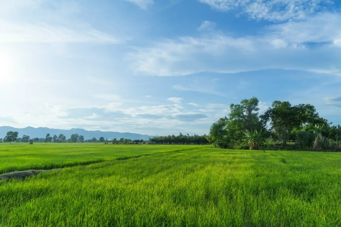 Sell My Vacant Land Fort Worth TX | We Buy Land In Fort Worth