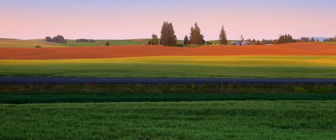 Sell My Land Fast For Cash Online