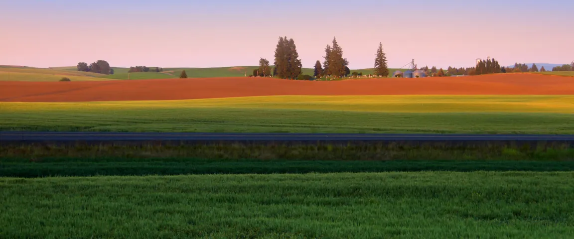 Sell My Land Fast For Cash Online