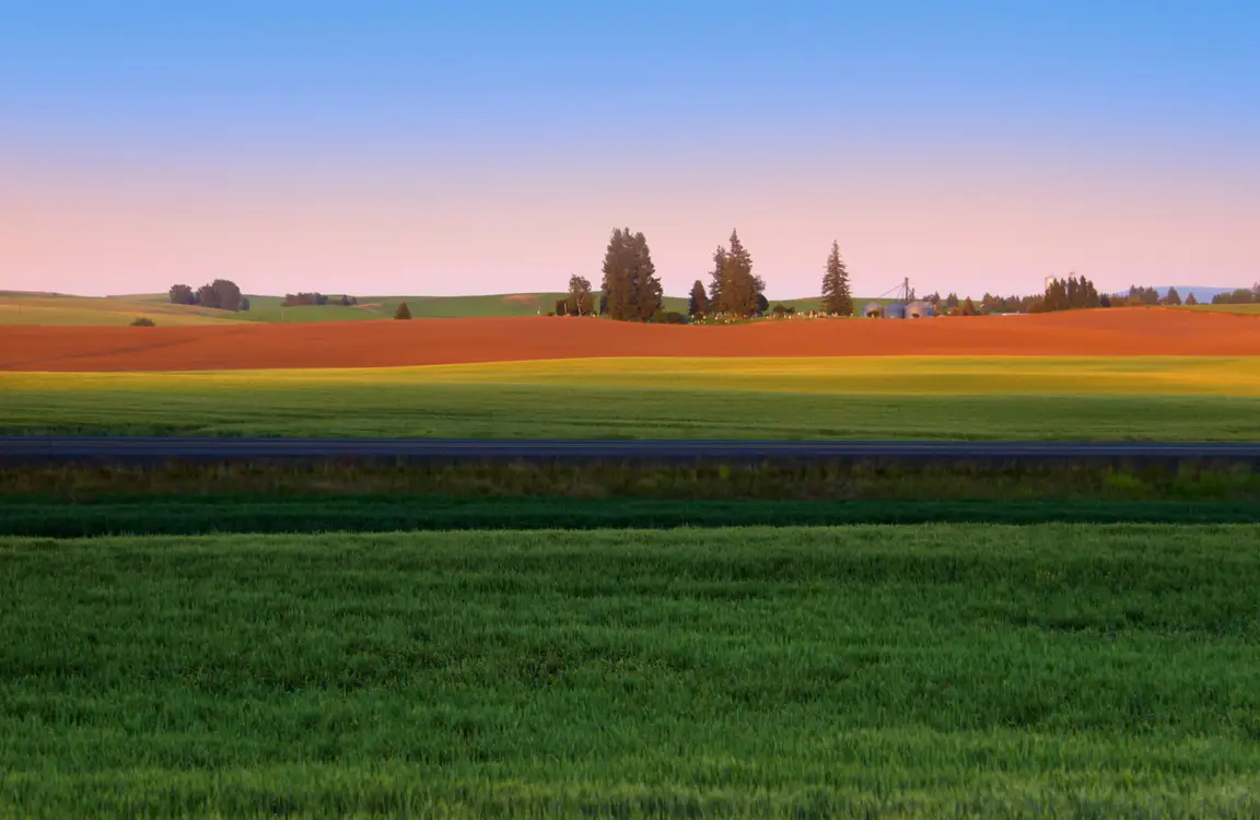 Sell My Land Fast For Cash Online