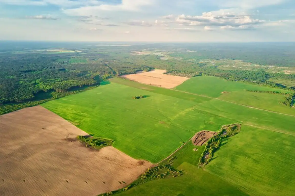 Sell My Vacant Land Virginia [We Buy Land In Virginia Online]