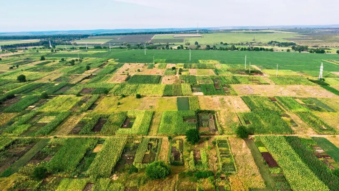 Sell My Vacant Land North Carolina | We Buy Land In North Carolina
