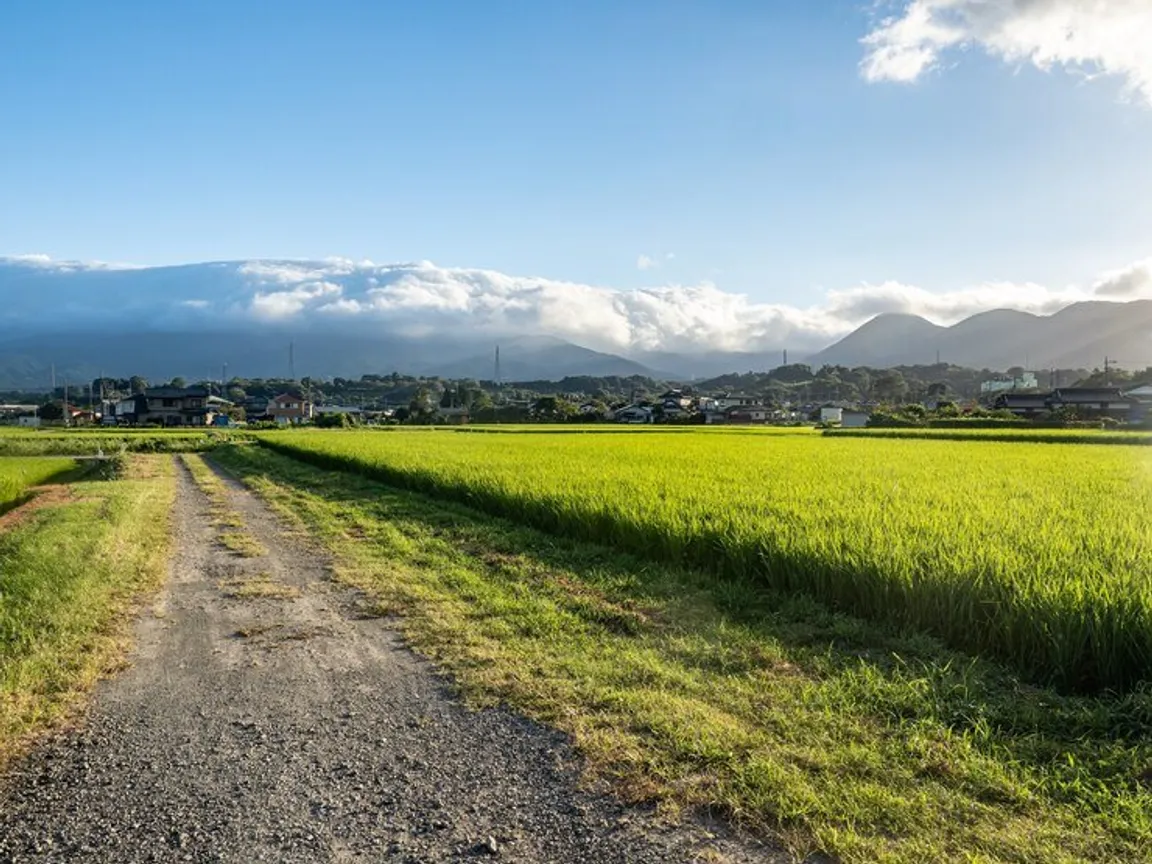 Sell My Land Fast In Oregon