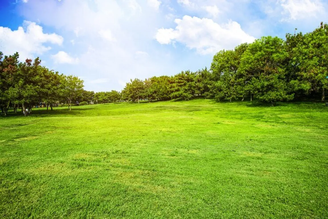 Sell My Vacant Land Massachusetts