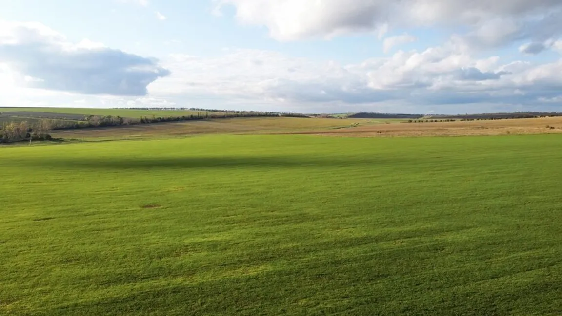 Sell My Vacant Land Tennessee | We Buy Land In Tennessee Online