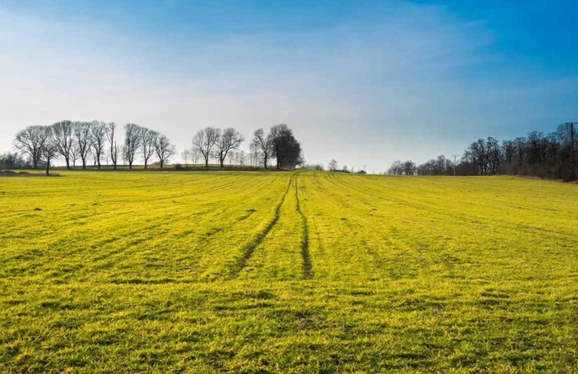 Sell My Land Fast In Montana