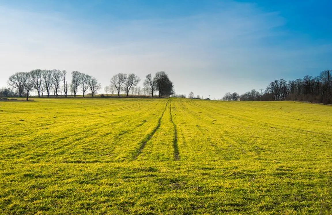 Sell My Land Fast In Montana