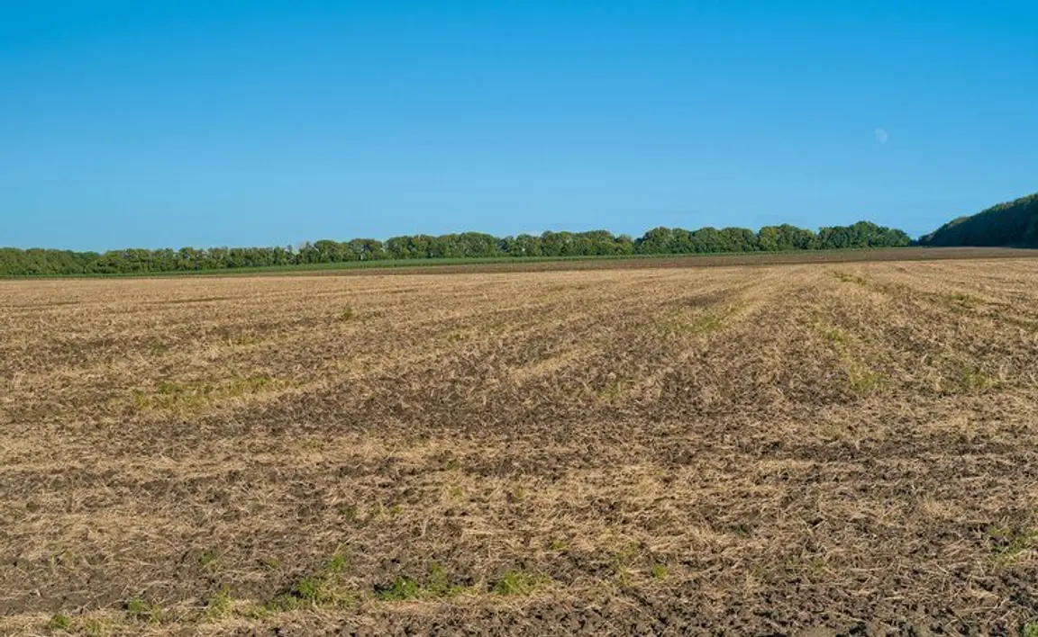 Sell My Vacant Land Missouri [We Buy Land In Missouri Online]