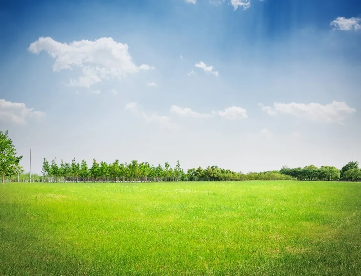Sell My Land Fast In Minnesota