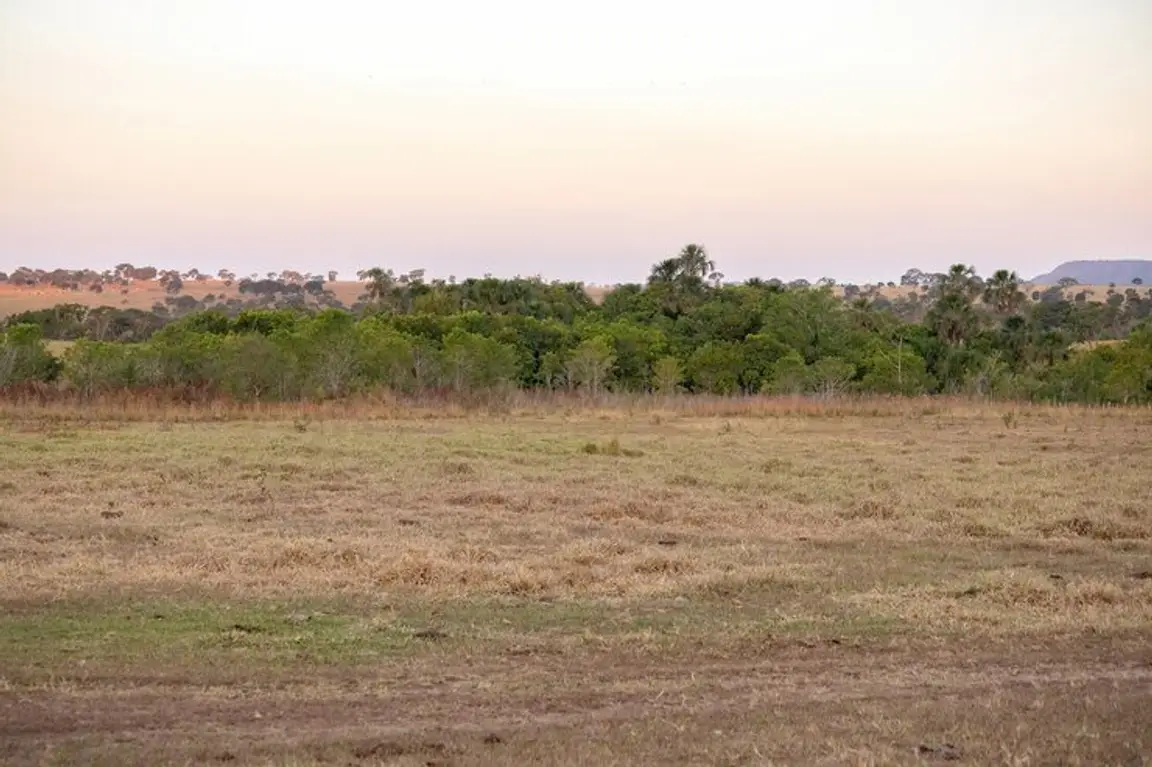 Sell My Land Fast In Louisiana