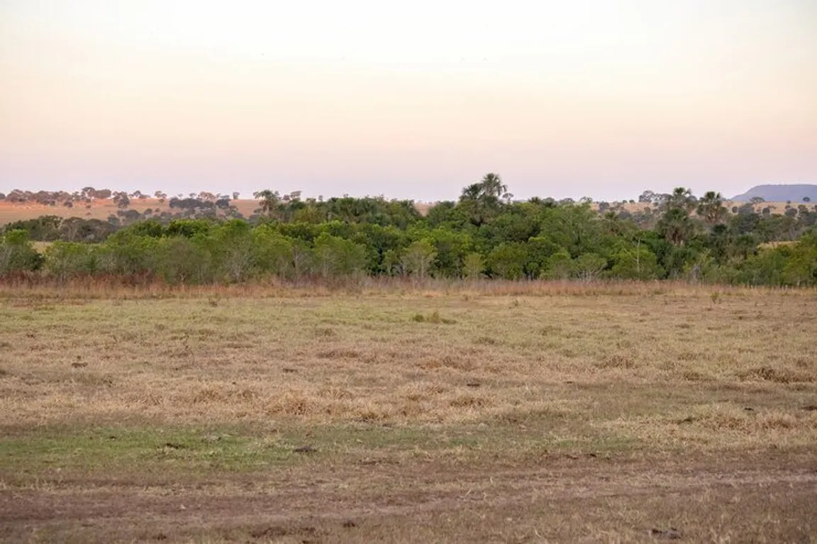 Sell My Land Fast In Louisiana