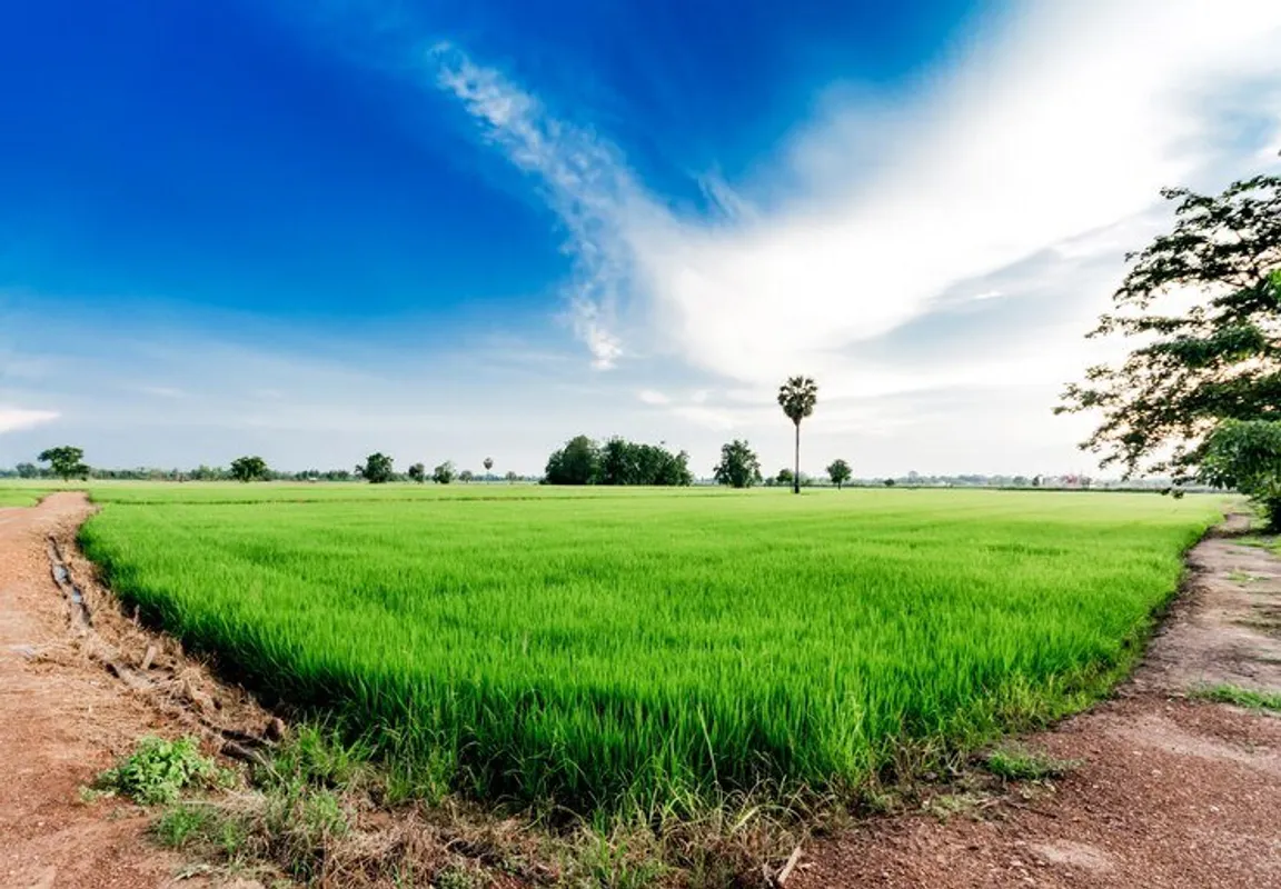Sell My Vacant Land Kentucky [We Buy Land In Kentucky Online]