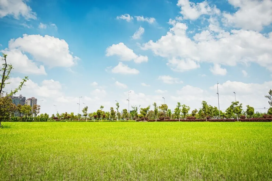 Sell My Vacant Land Illinois | We Buy Land In Illinois Online