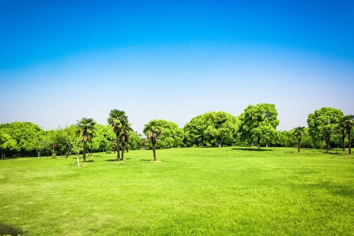 Sell My Vacant Land Georgia | We Buy Land In Georgia Online