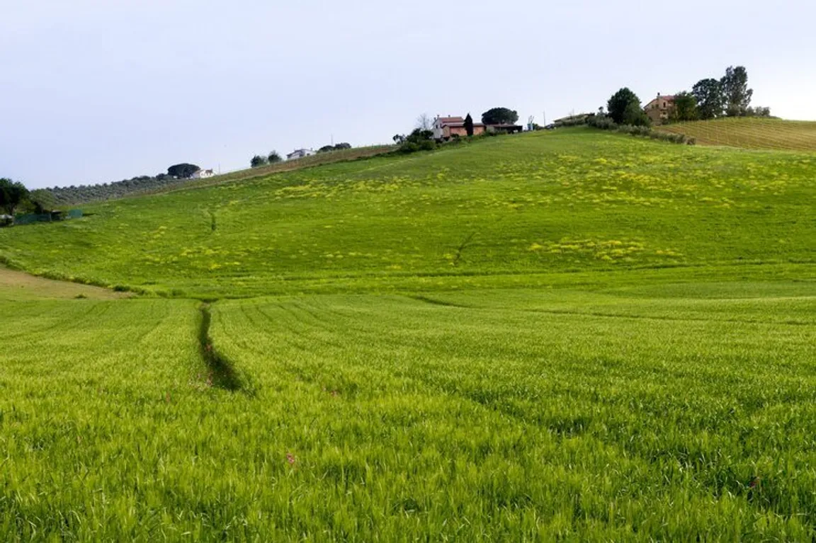 Sell My Vacant Land Florida | We Buy Land In Florida Online