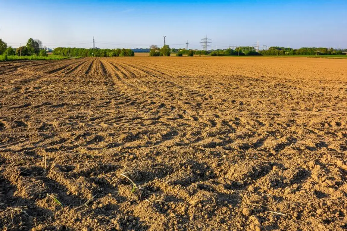Sell My Vacant Land Colorado | We Buy Land In Colorado Online