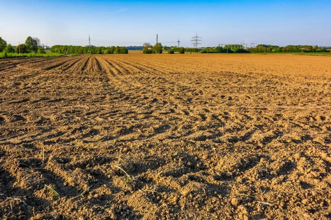 Sell My Vacant Land Colorado | We Buy Land In Colorado Online