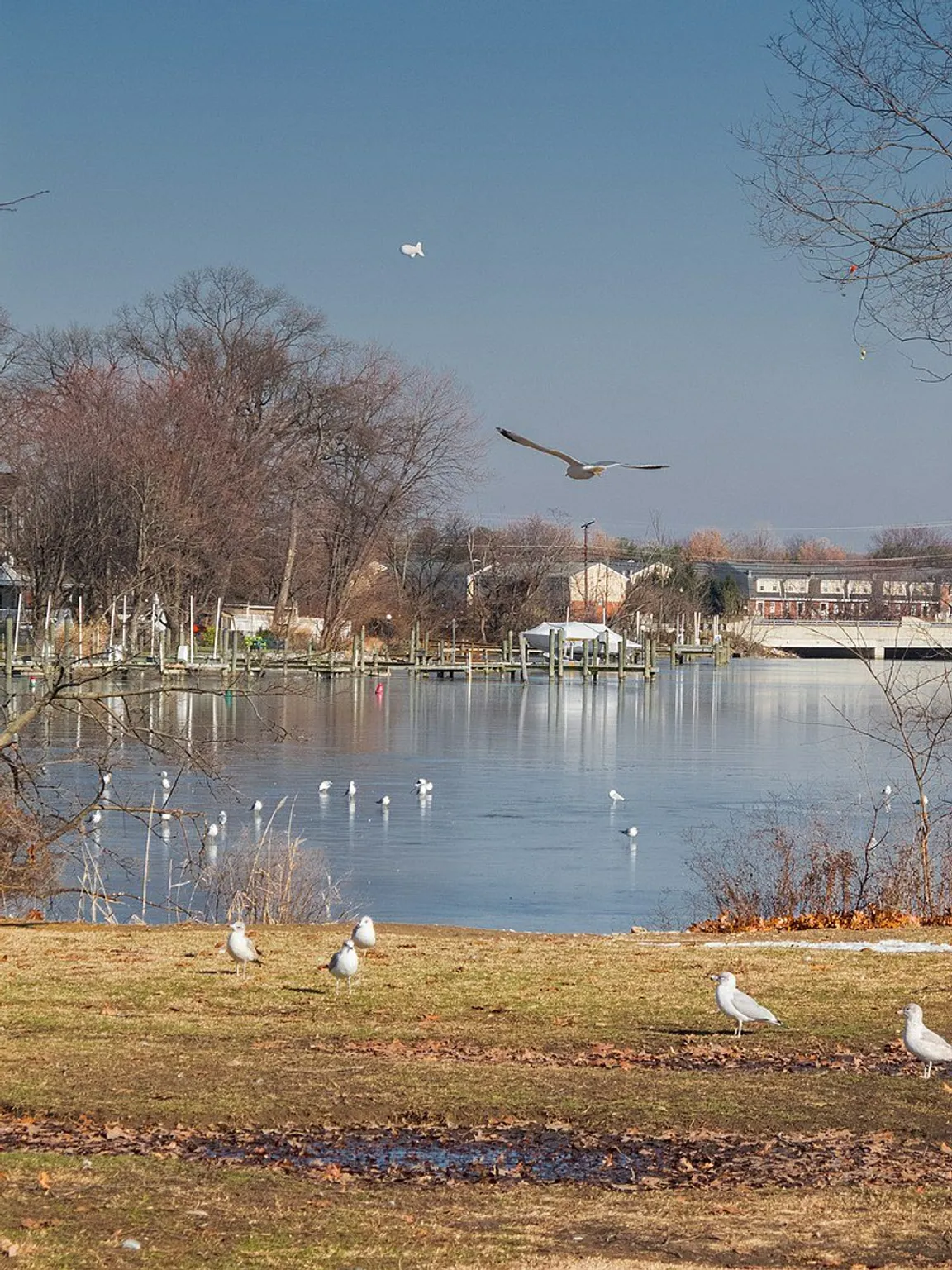 We-buy-houses-in-Essex-Maryland