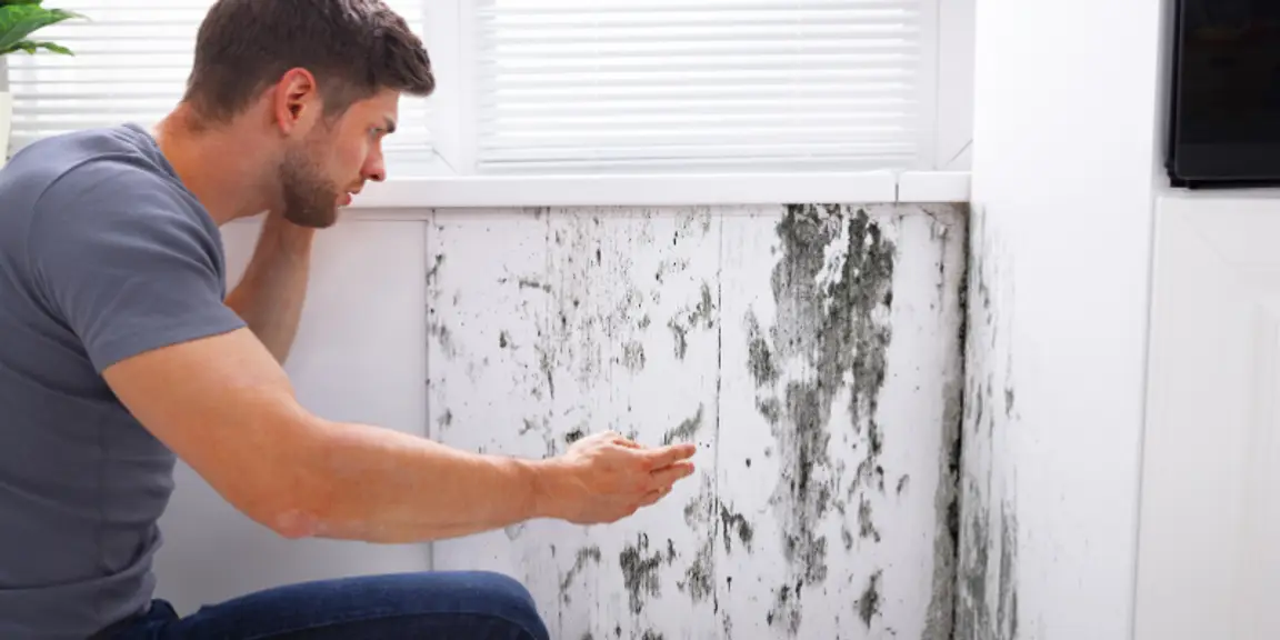 Sell a House Fast With Mold in Florida