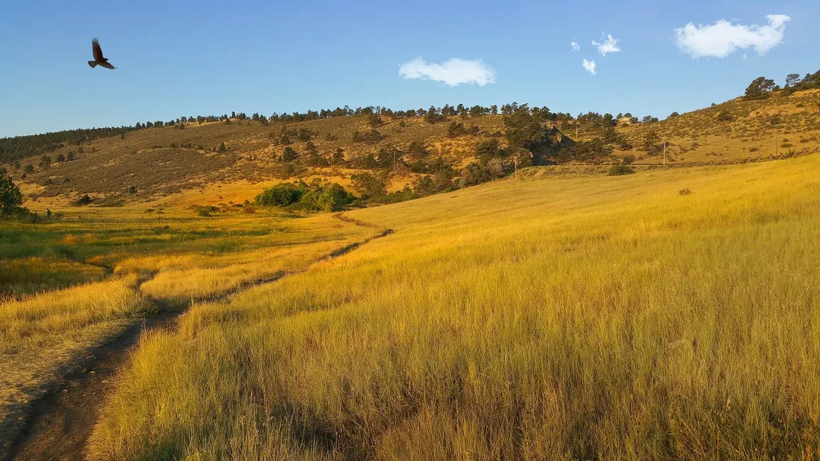 We Buy Houses Fort Collins Colorado - Sell My House Fast Fort Collins Colorado