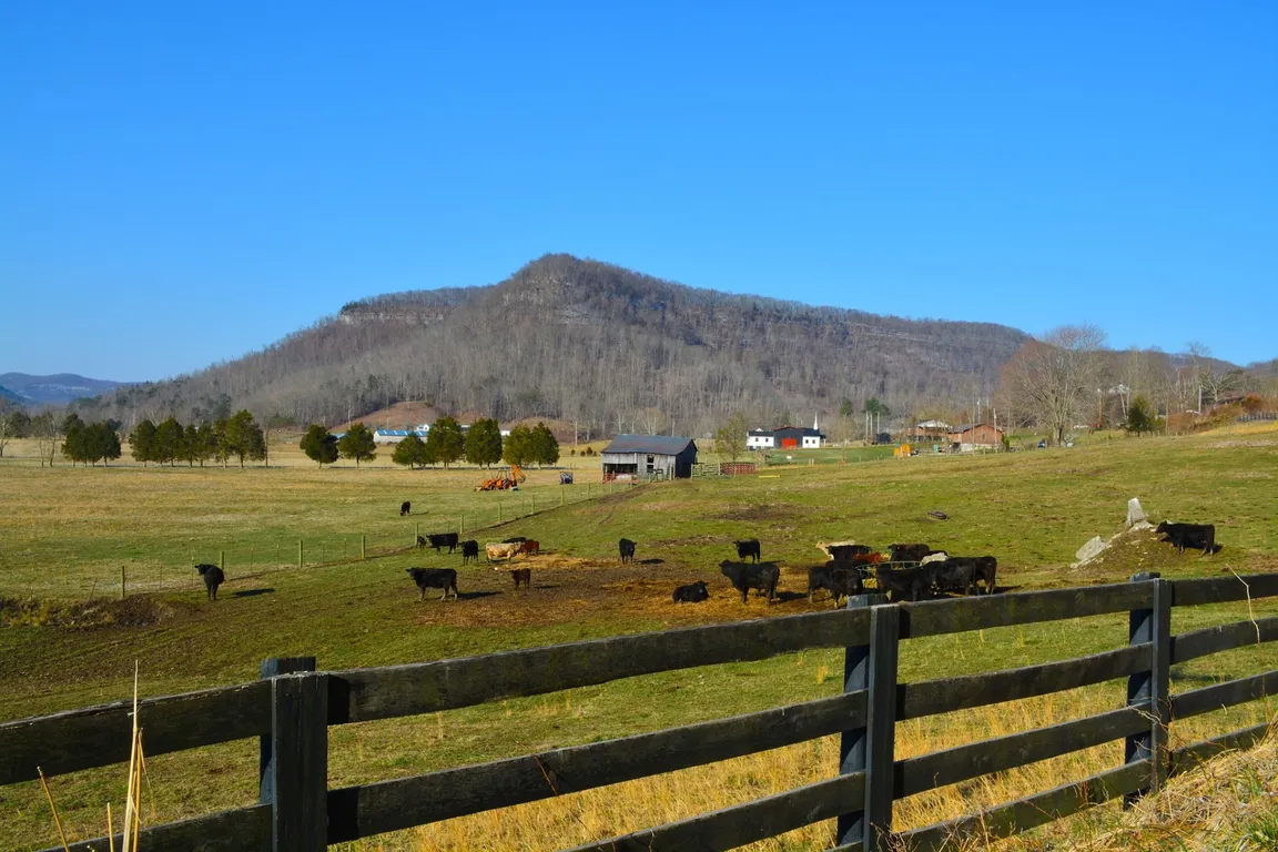 We Buy Houses Lexington Kentucky - Sell My House Fast Lexington Kentucky