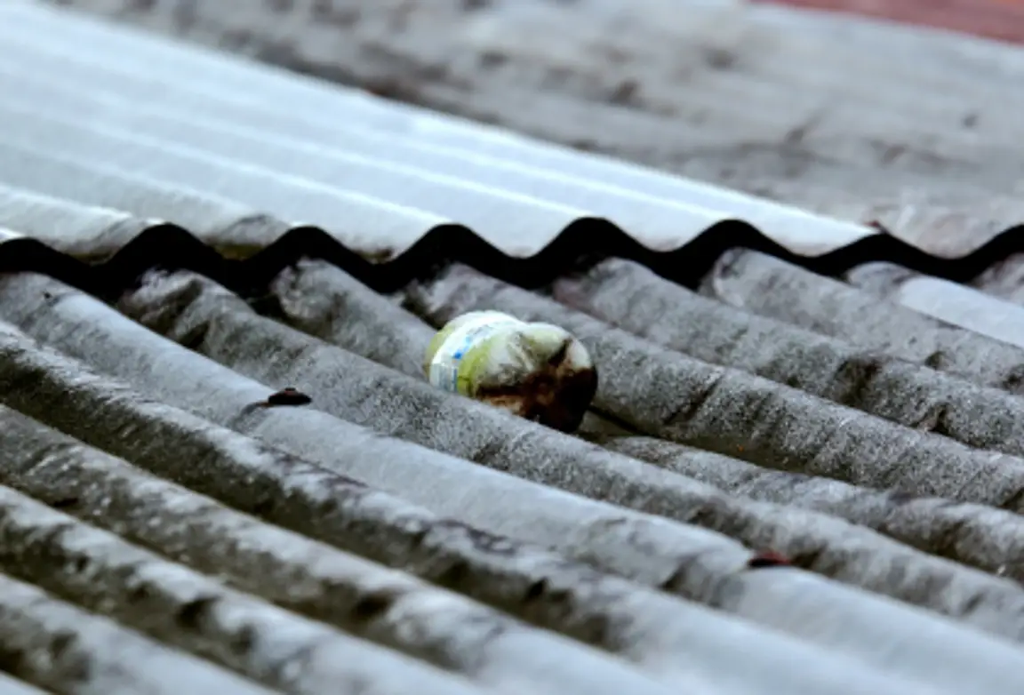 Can You Sell A House With Asbestos in California