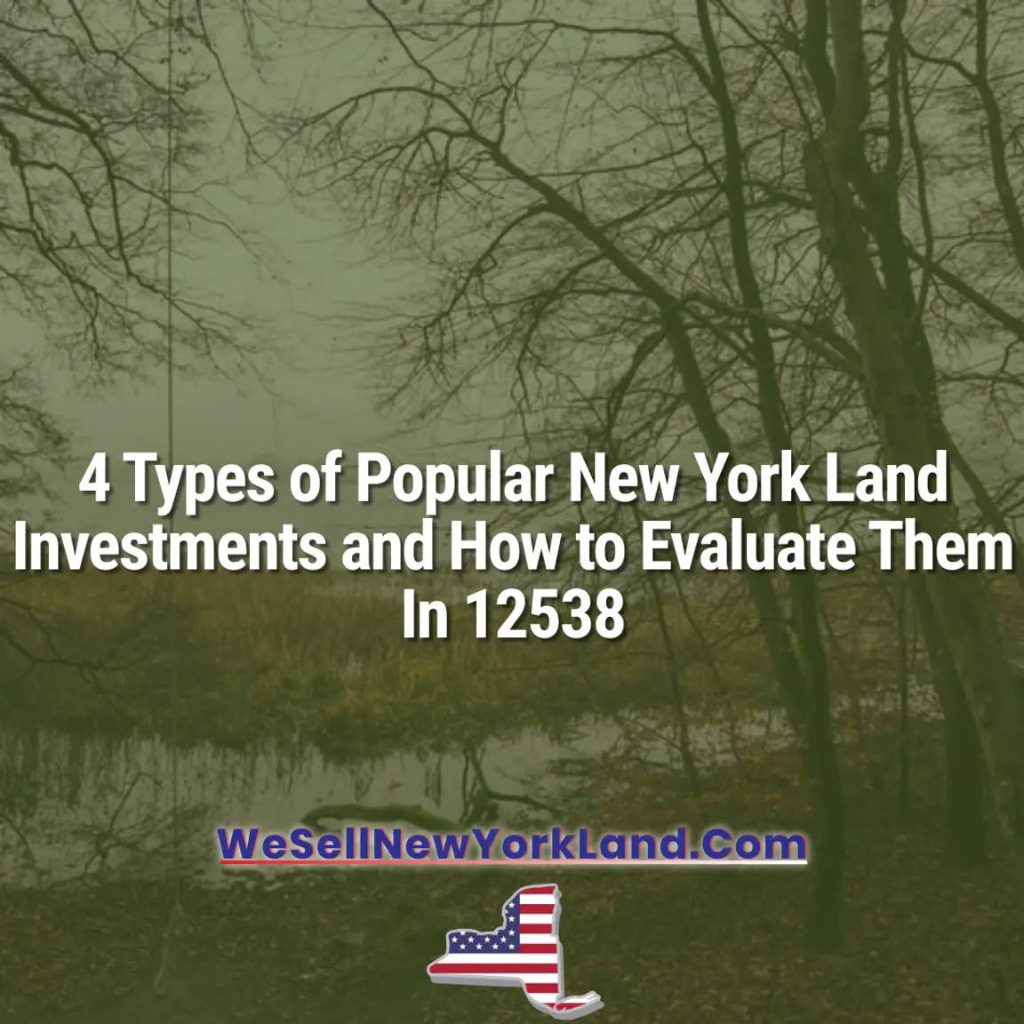 4 Types of Popular New York Land Investments and How to Evaluate Them In 12538
