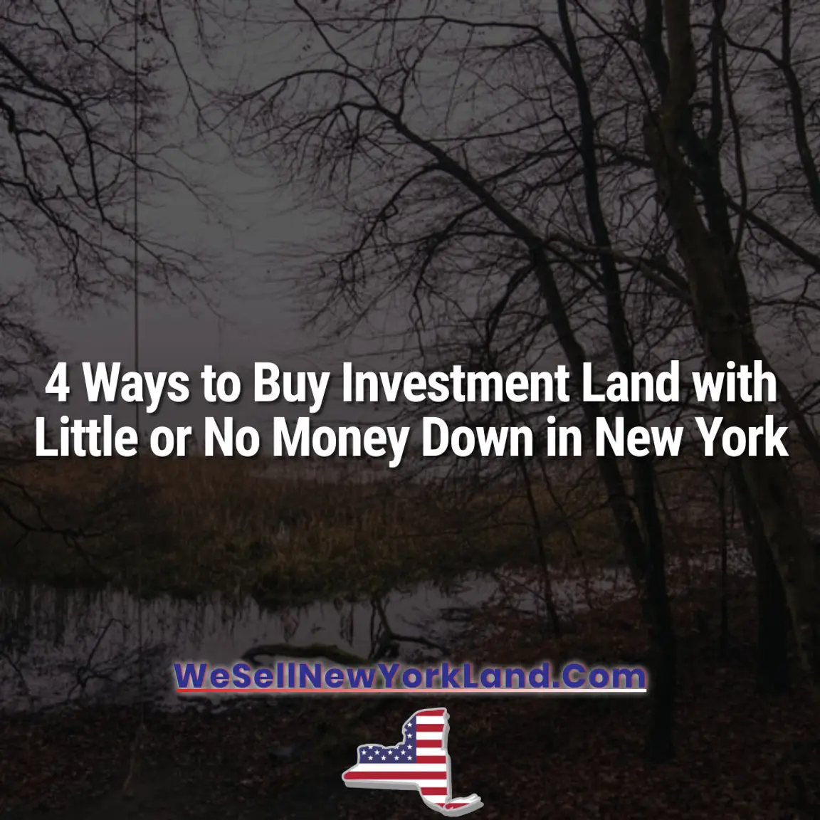 4 Ways to Buy Investment Land with Little or No Money Down in New York New York Land Sales Blog