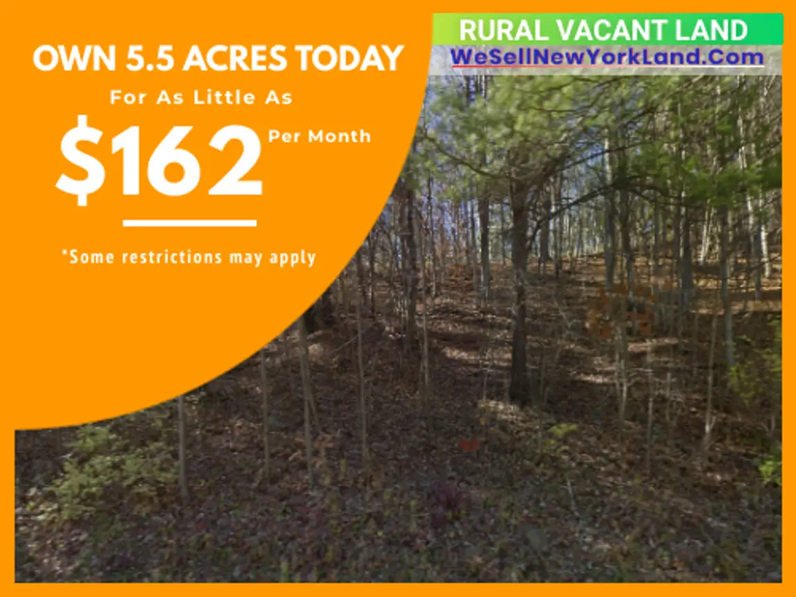 Land For Sale Freeman Ekland Rd, Addison, NY Main Image www.WeSellNewYorkLand.com