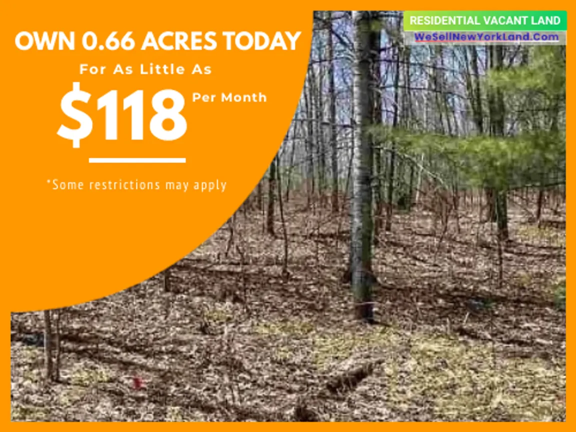 Lot 146 Wilderness Dr, Mancelona, MI Main Image www.WeSellNewYorkLand.com