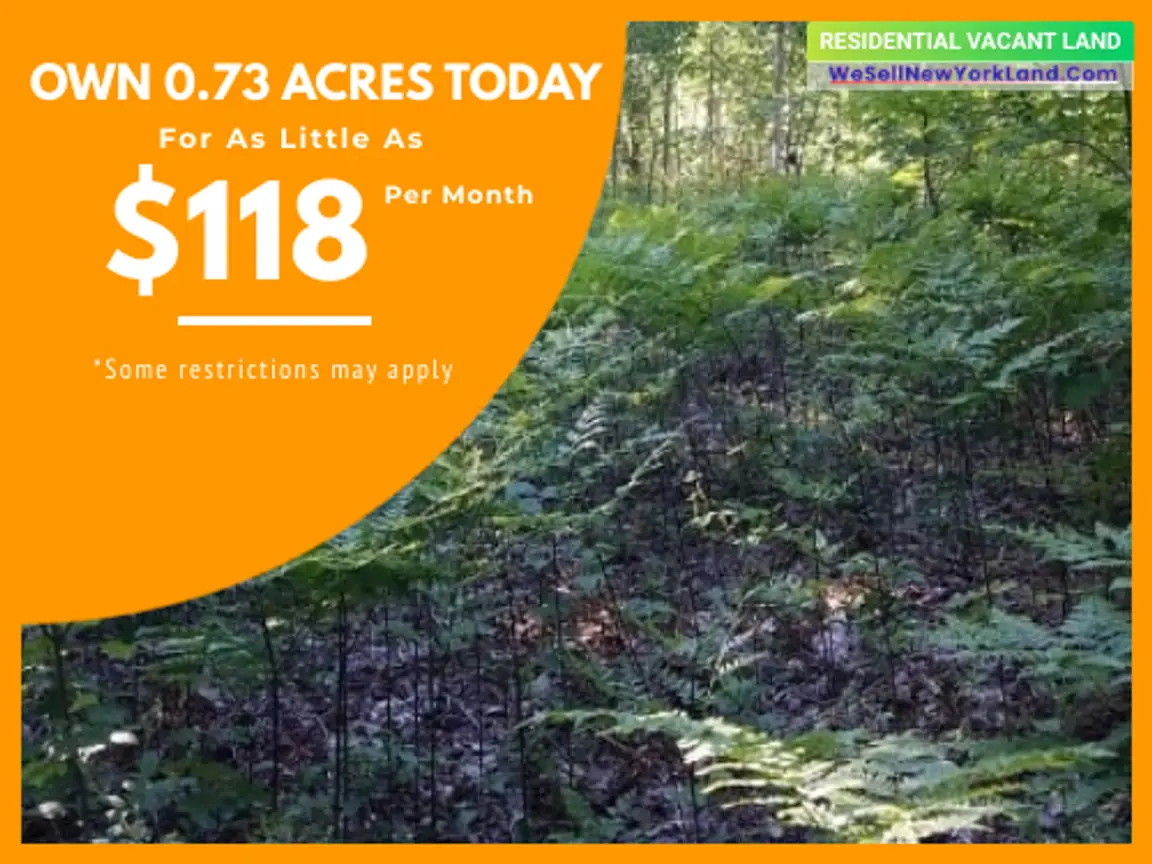 Lot 575 Sprucedale Cir Elmira, MI Main Image www.WeSellNewYorkLand.com