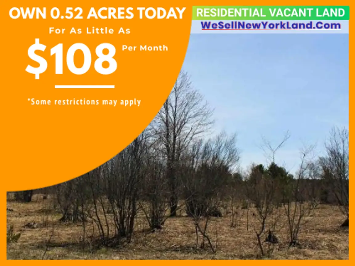 Wholesale Land For Sale Lot 991 Holbrook Ct, Elmira, MI Main Image www.WeSellNewYorkLand.com