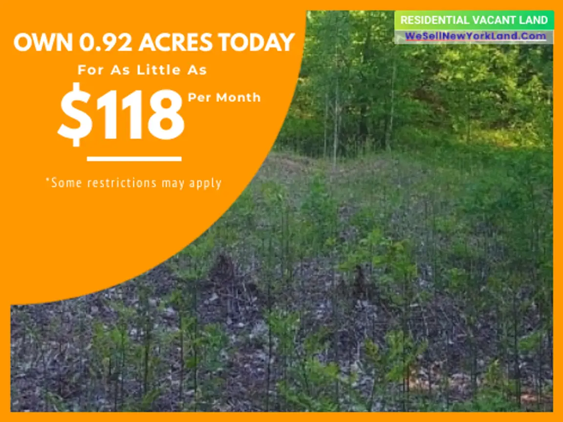 Lot 366 Manistee Heights Dr. Elmira, MI Main Image www.WeSellNewYorkLand.com