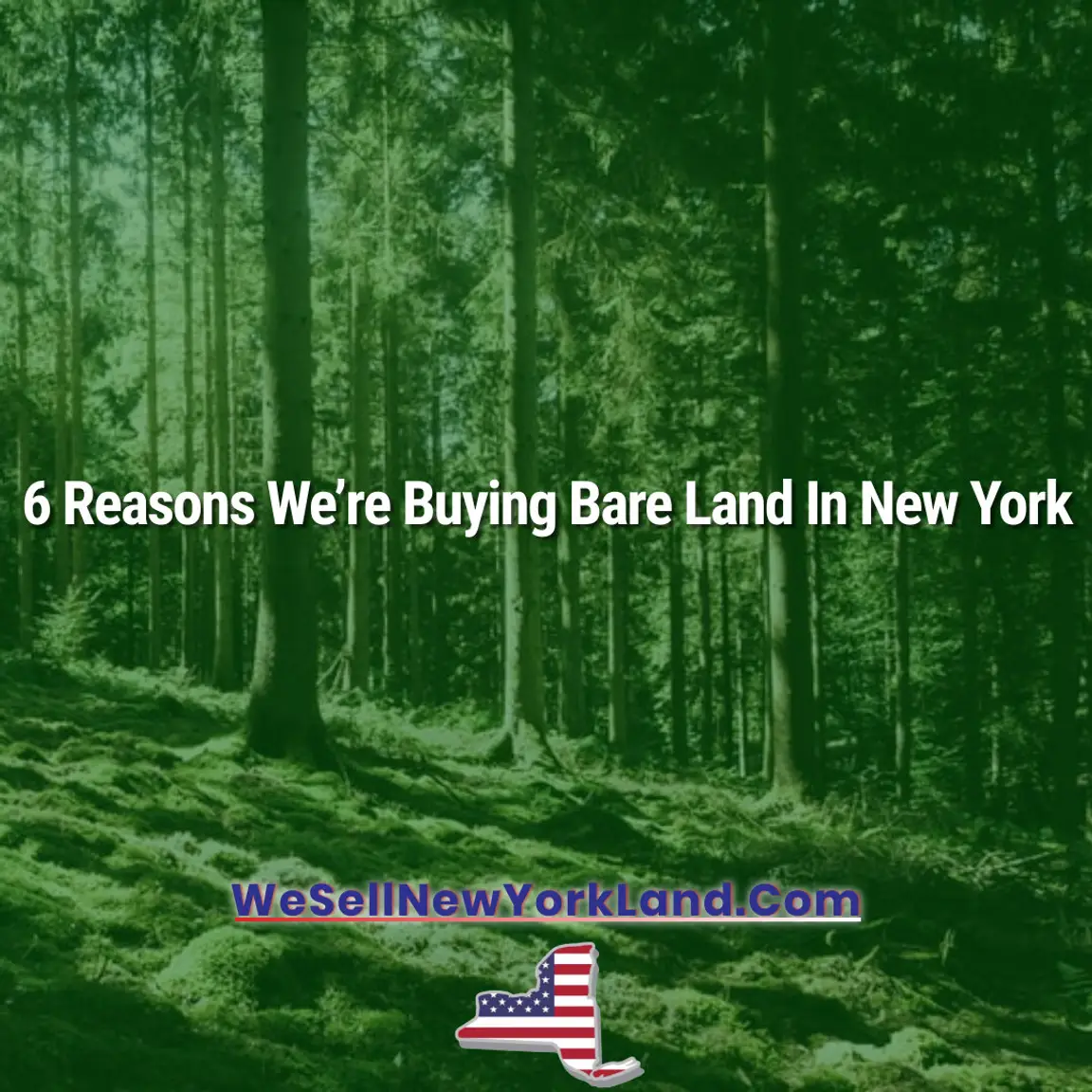 6 Reasons We’re Buying Bare Land In New York