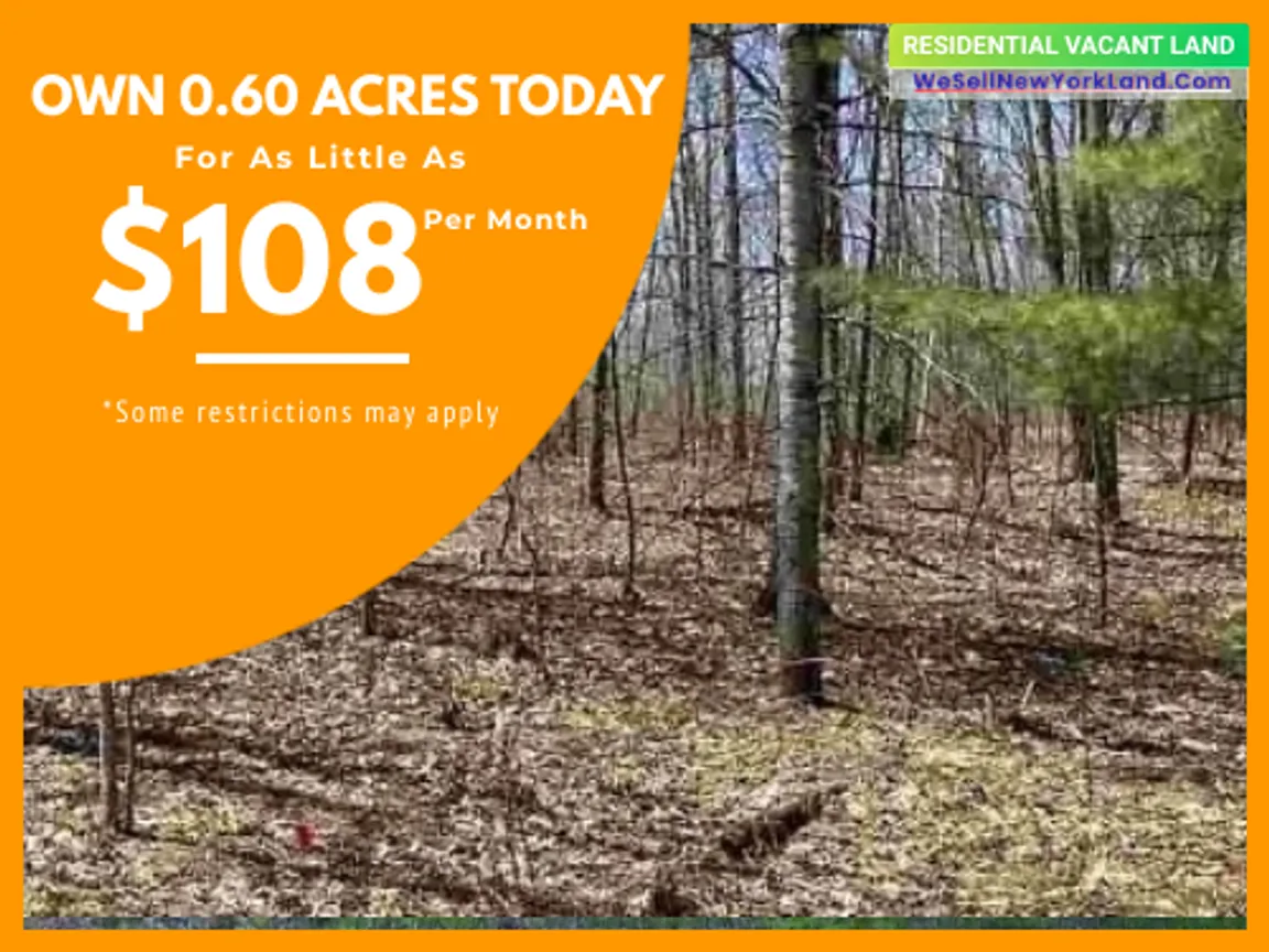 Lot 185 Forestgrove Dr. Elmira, MI Main Image www.WeSellNewYorkLand.com