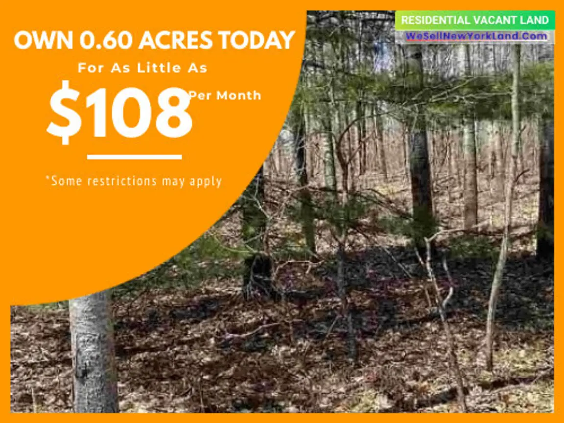 Lot 1040 Brookfield Ct Elmira, MI Main www.WeSellNewYorkLand.com