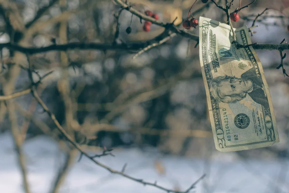 Why Buy Land Investments in New York