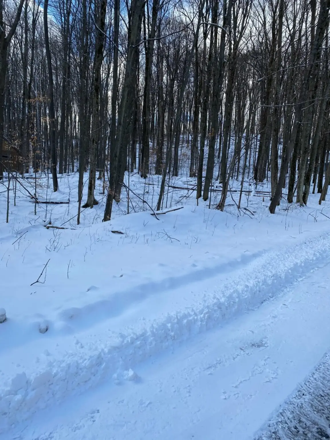 Reasons to Make a Land Investment During Winter Season
