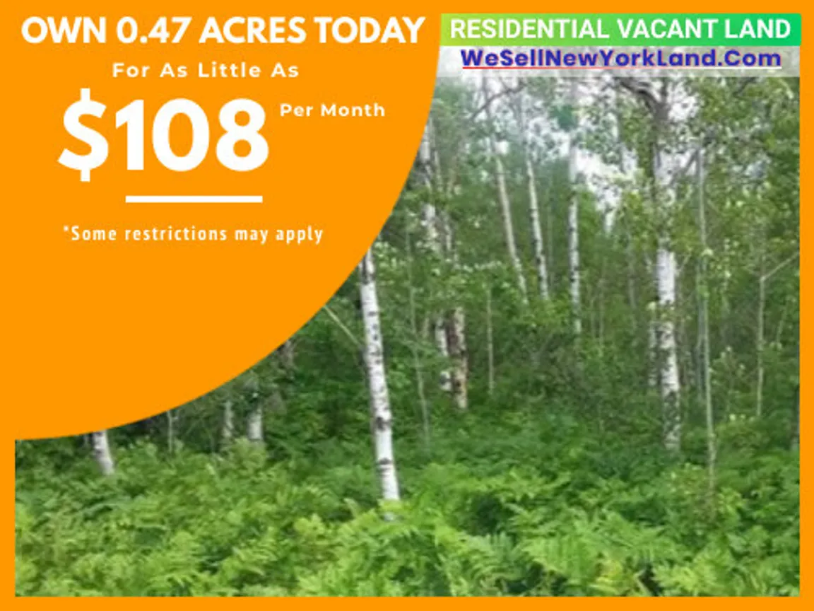 Wholesale Land For Sale Lot 118 Snowridge Trail, Elmira, MI