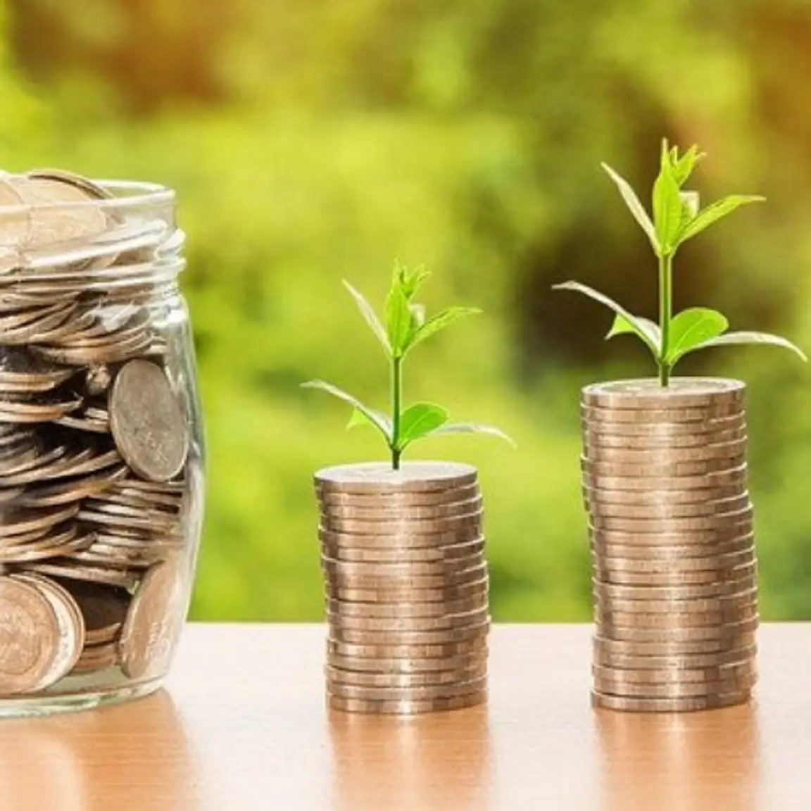Guide to Land Investment in New York
