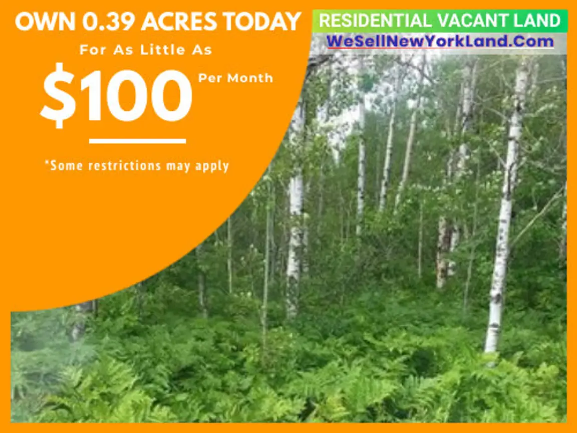 Lot 256 Snowridge Trail Elmira, MI Main