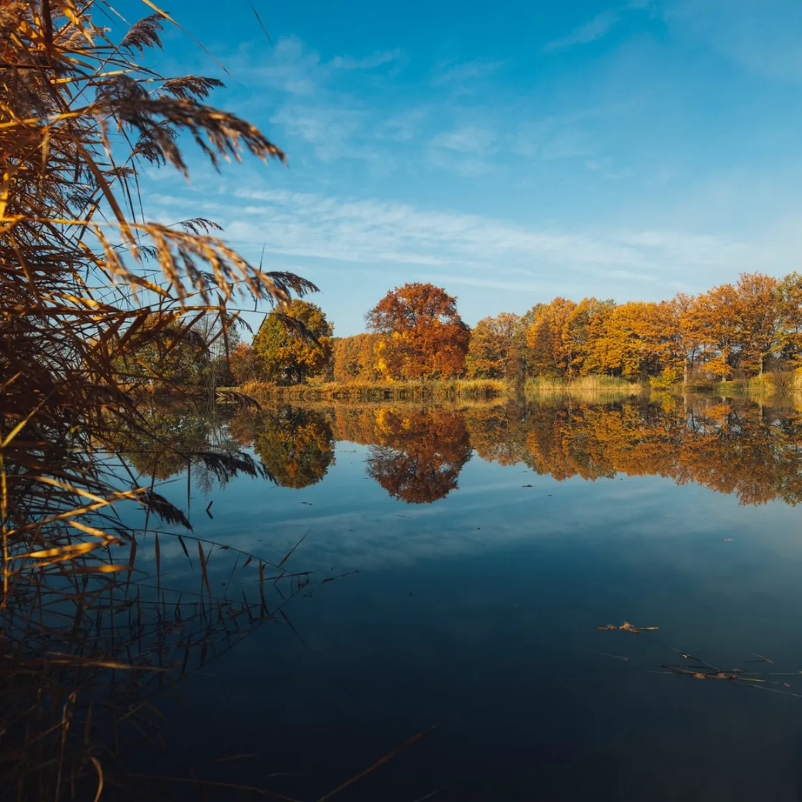 What To Do With Undeveloped Land in Michigan