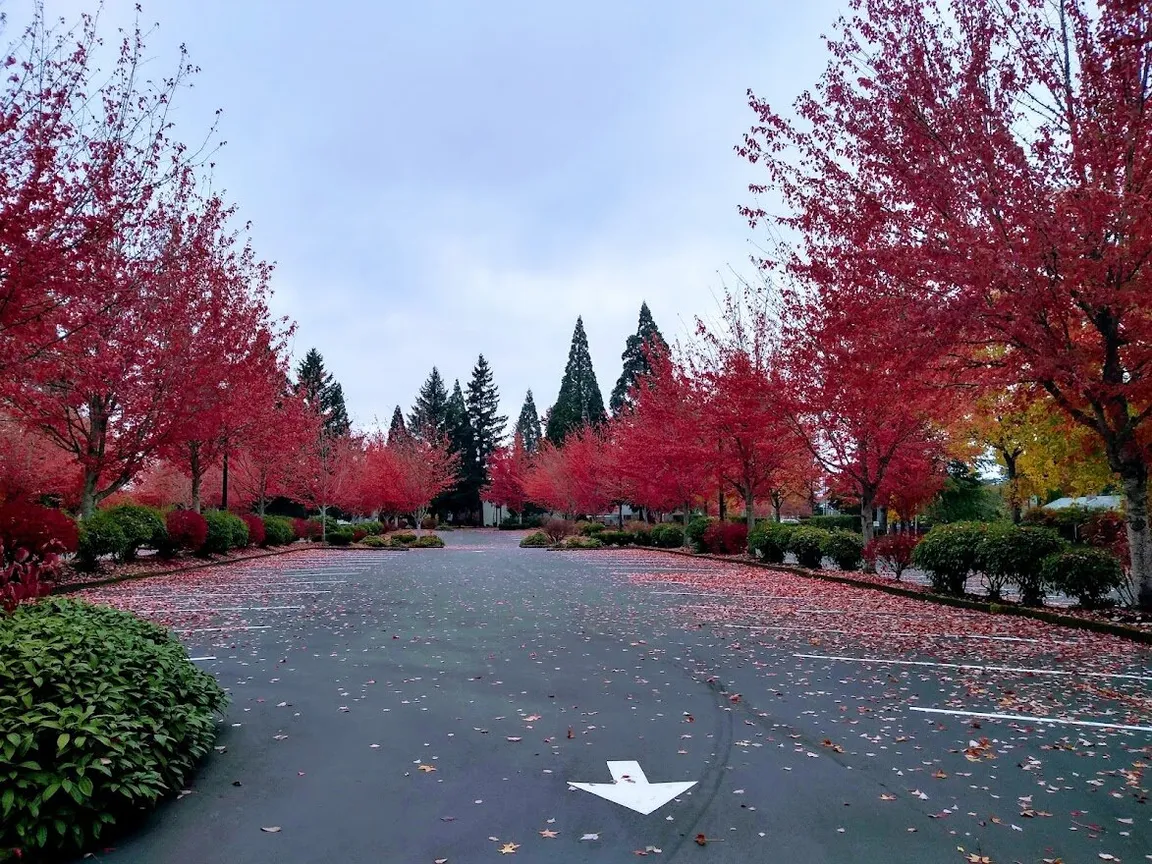Featured Image of Service Area Beaverton